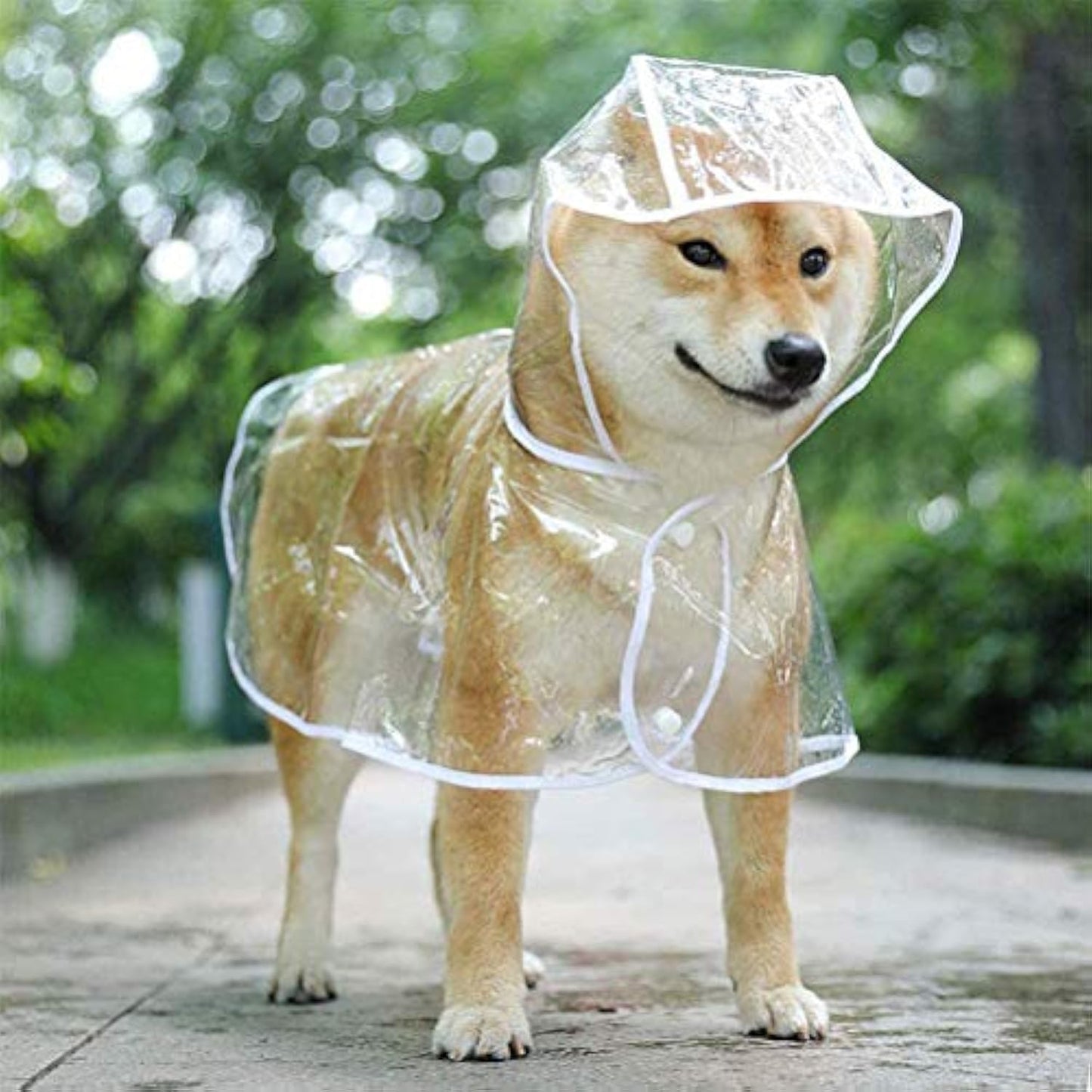 Dog Raincoat Clear Waterproof Hooded Jacket Small Medium