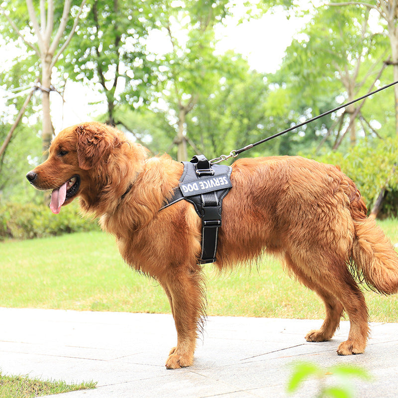 Dog Harness Personalized Reflective Custom Name Patch Vest