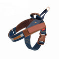 PetReflective Dog Chest Strap At Night