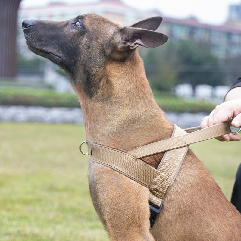 Dog Vest-style Collar And Harness - Majestic Pet Kingdom
