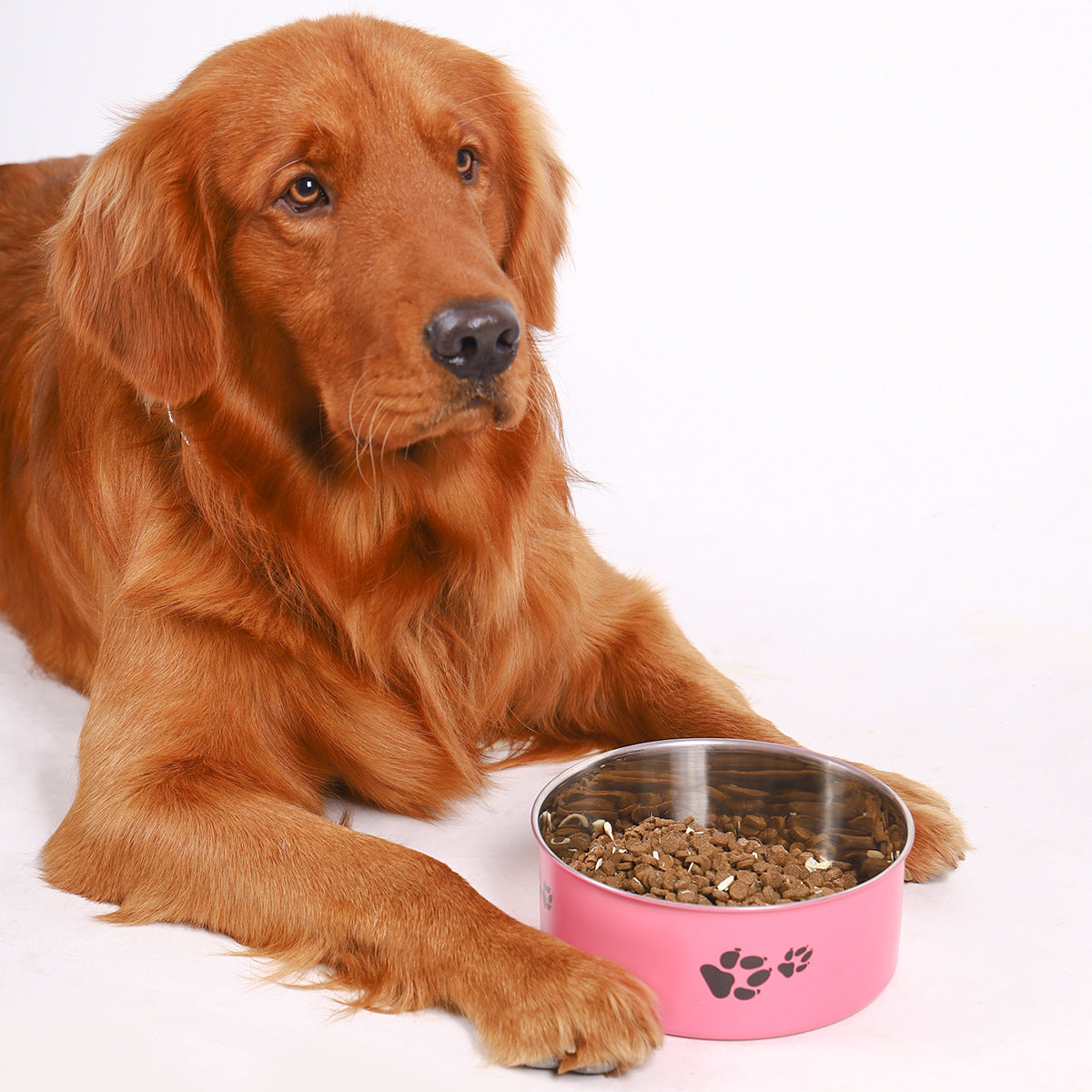 Stainless Steel Dog Bowl Large Capacity Anti-tumble Cat Bowl - Majestic Pet Kingdom