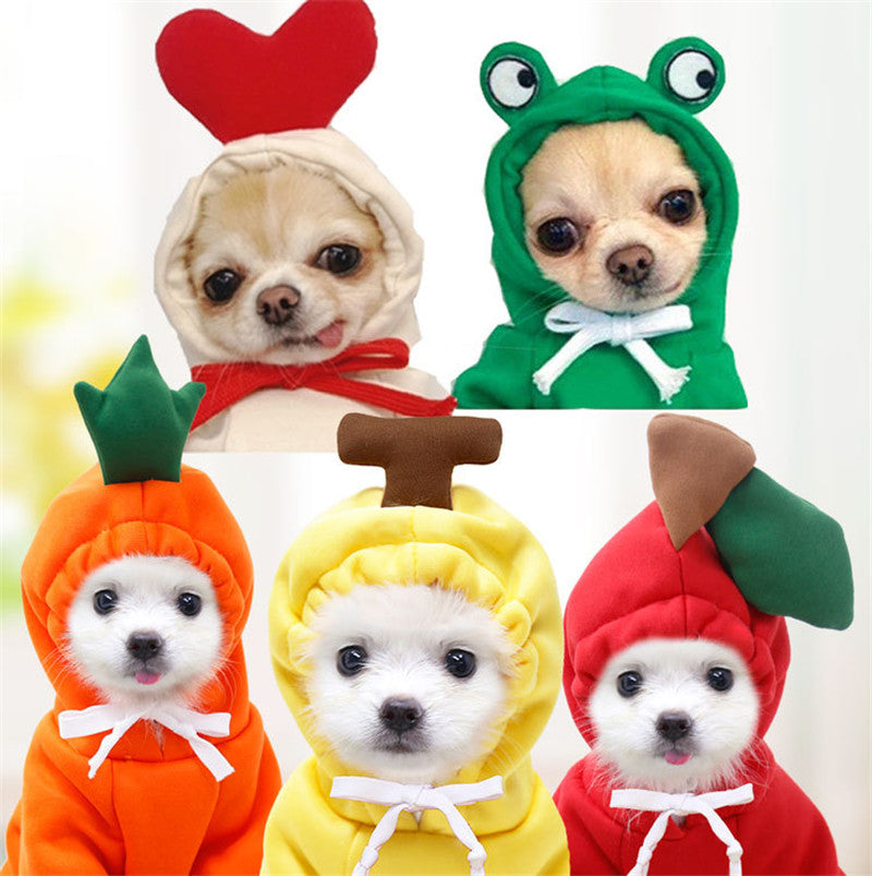Pet Product - Premium Pet Accessory