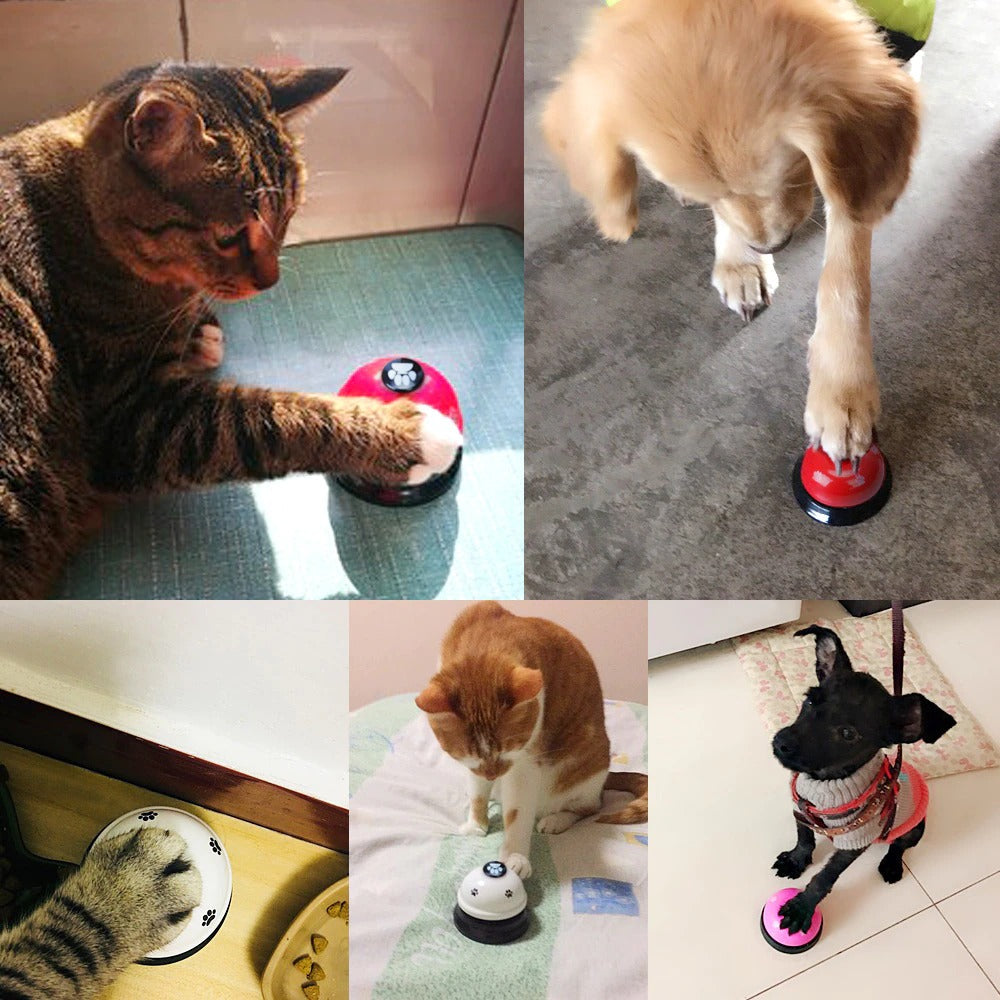 Luxury Pet Essentials - Purrfect Pet Kingdom™