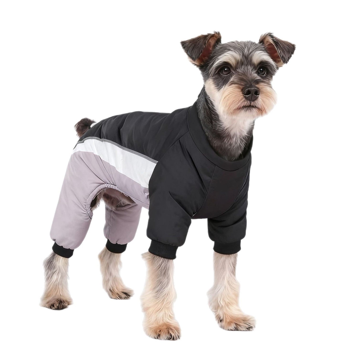 Pet Product - Premium Pet Accessory