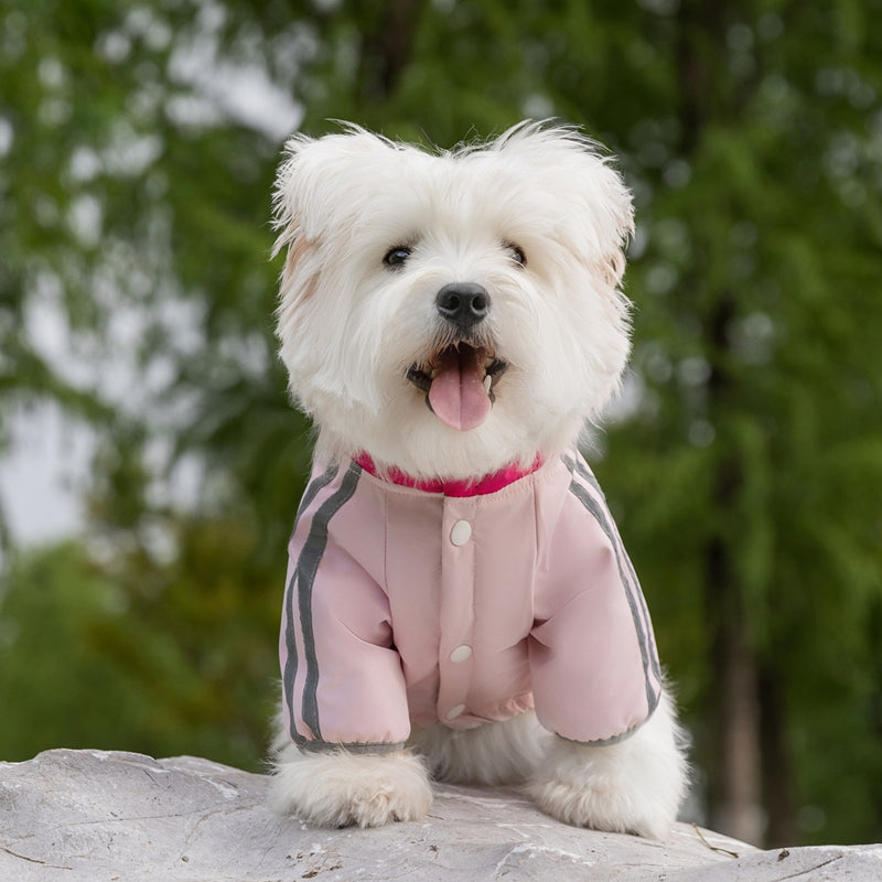 Autumn And Winter Dog Clothing Small And Medium Sized Dog West Highland Bichon Frise Down Jacket With Fleece For Warmth, Pet Four Legged Cotton Jacket - Majestic Pet Kingdom