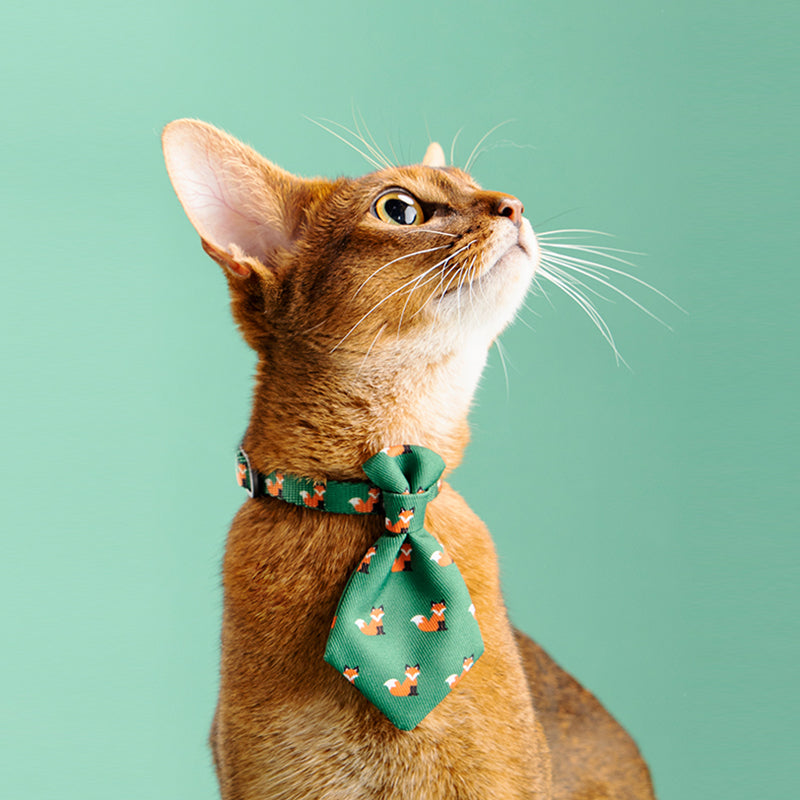 Collar Dog Gentleman Tie Accessories Adjustable Pet Products Ergonomic | Majestic Pet Kingdom™