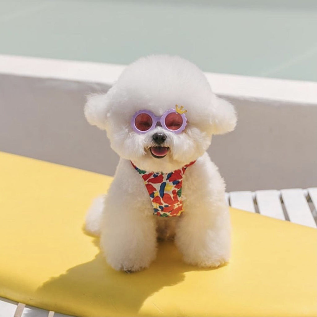 Luxury Pet Essentials - Purrfect Pet Kingdom™