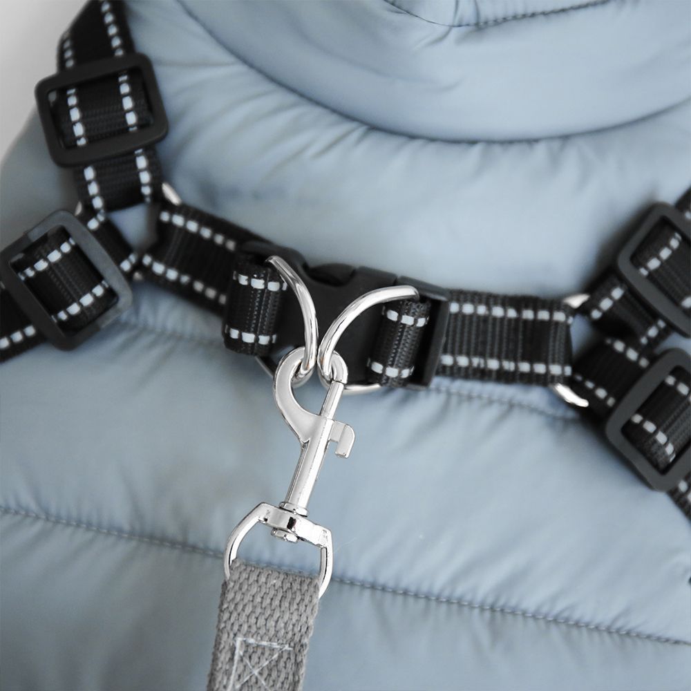 Pet Product - Premium Pet Accessory
