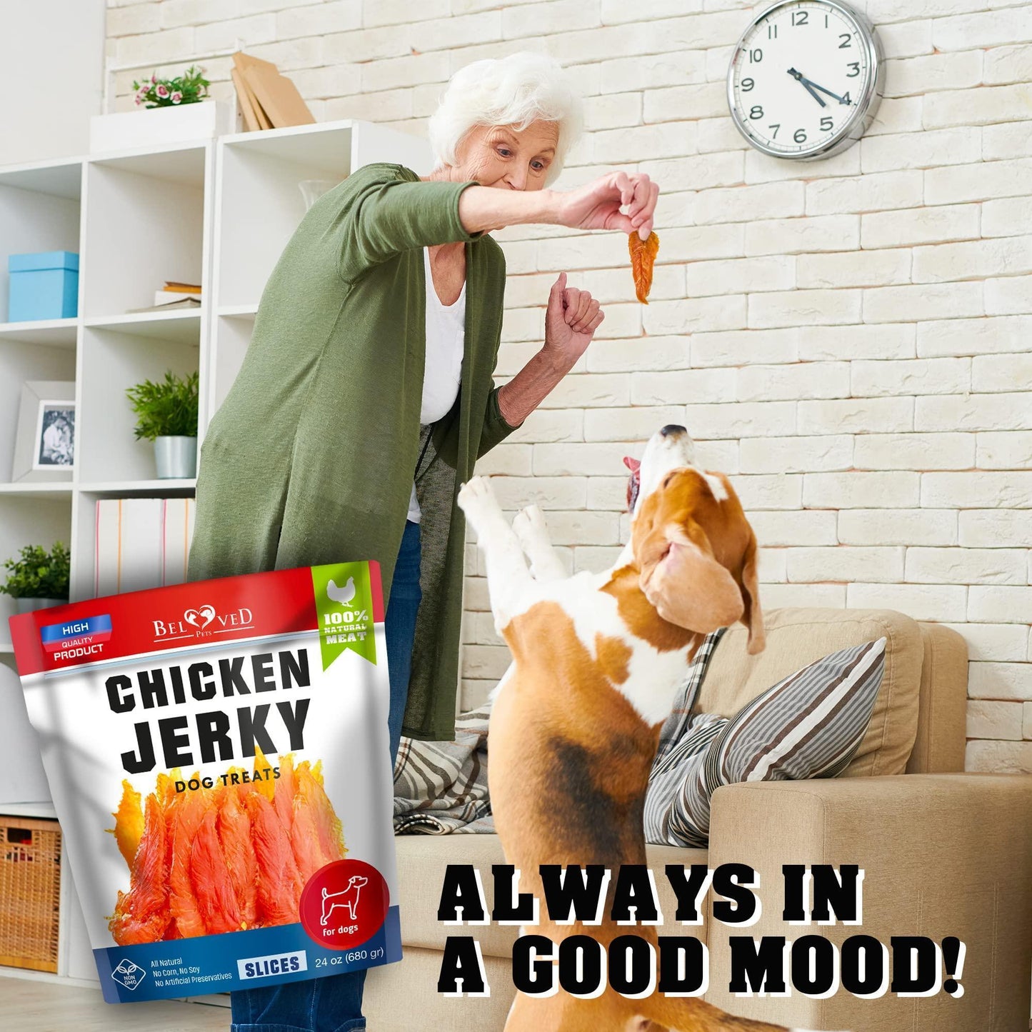 Chicken Jerky Dog Treats - Human-Grade & Grain-Free 1.5lb