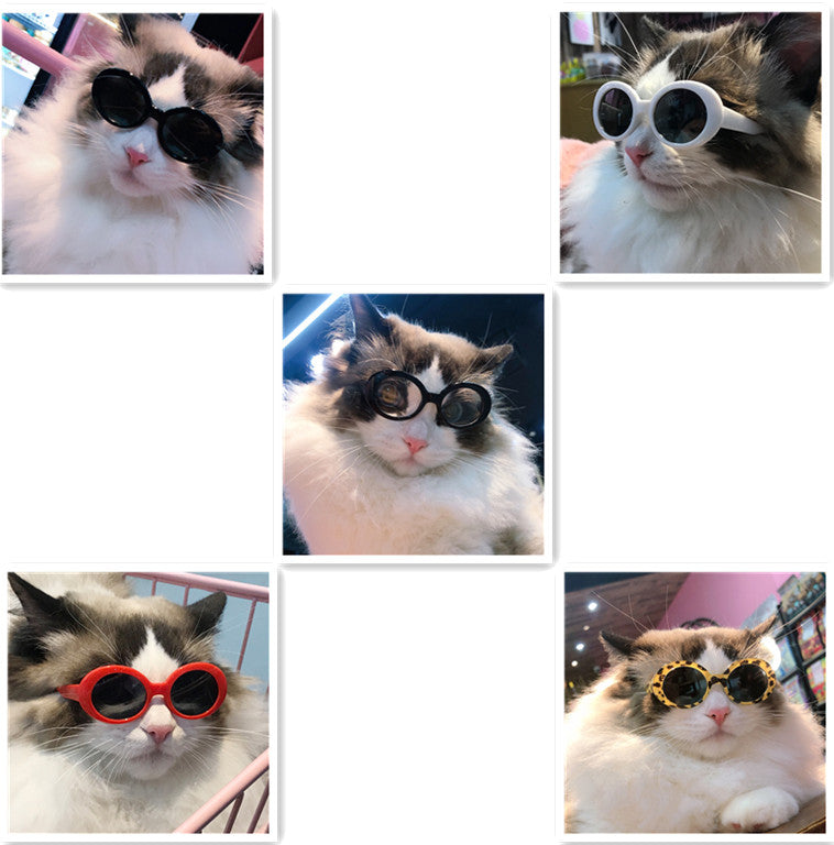 Luxury Pet Essentials - Purrfect Pet Kingdom™