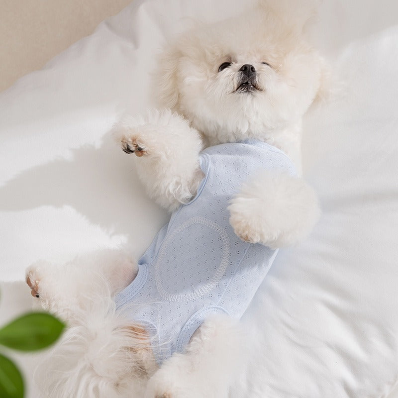 Pet Product - Premium Pet Accessory