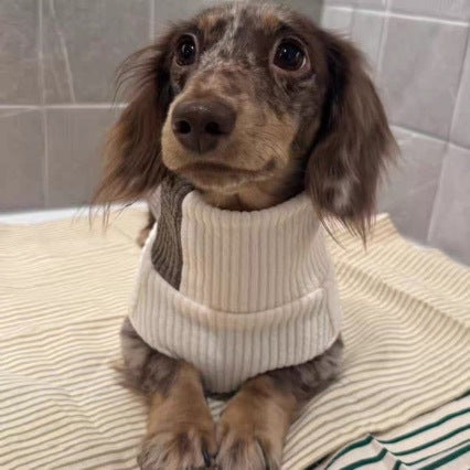 Fashionable Knitwear For Cats And Dogs Perfect For Fall And Winter