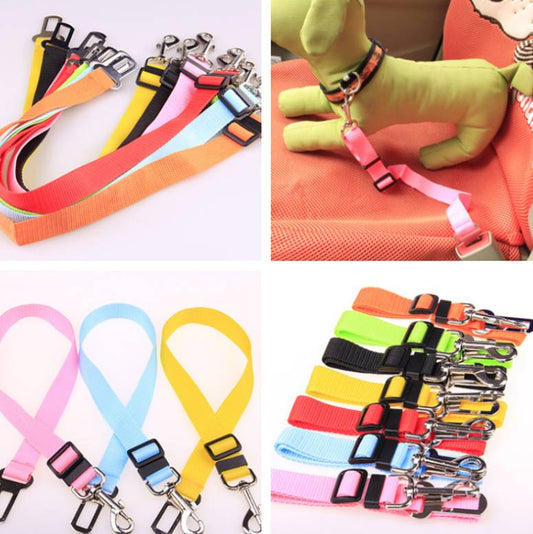 Durable Fixed Strap Polyester Pet Dog Traction Leash