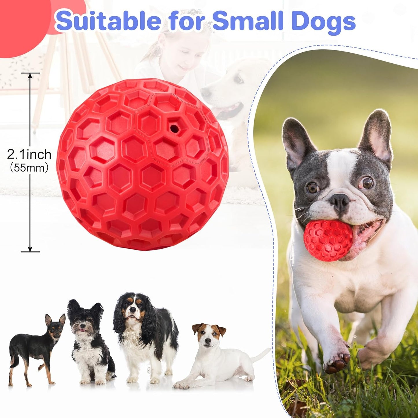 Dog Toy Ball Mental - Durable Boredom Enrichment