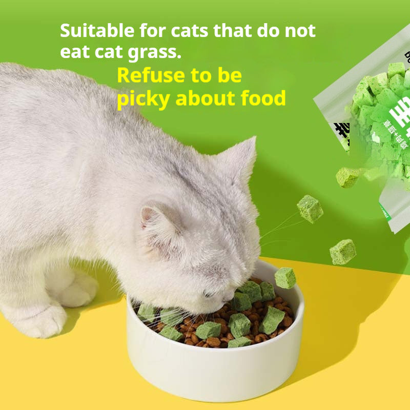 Cat Food Snacks Daily Freeze-Dried Hairball Remedy