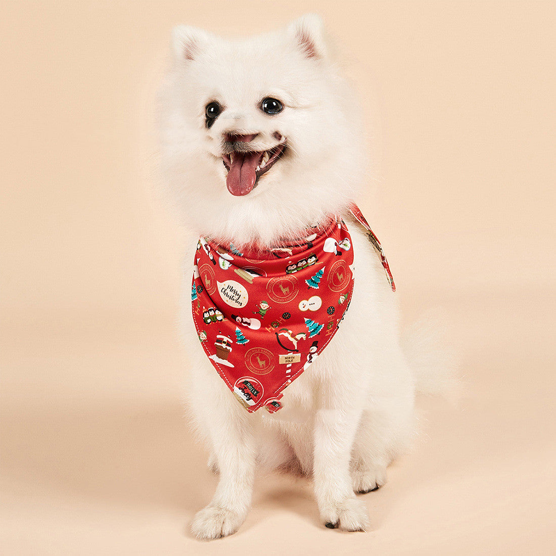 Reversible Saliva Towel Triangle Dog Bandana