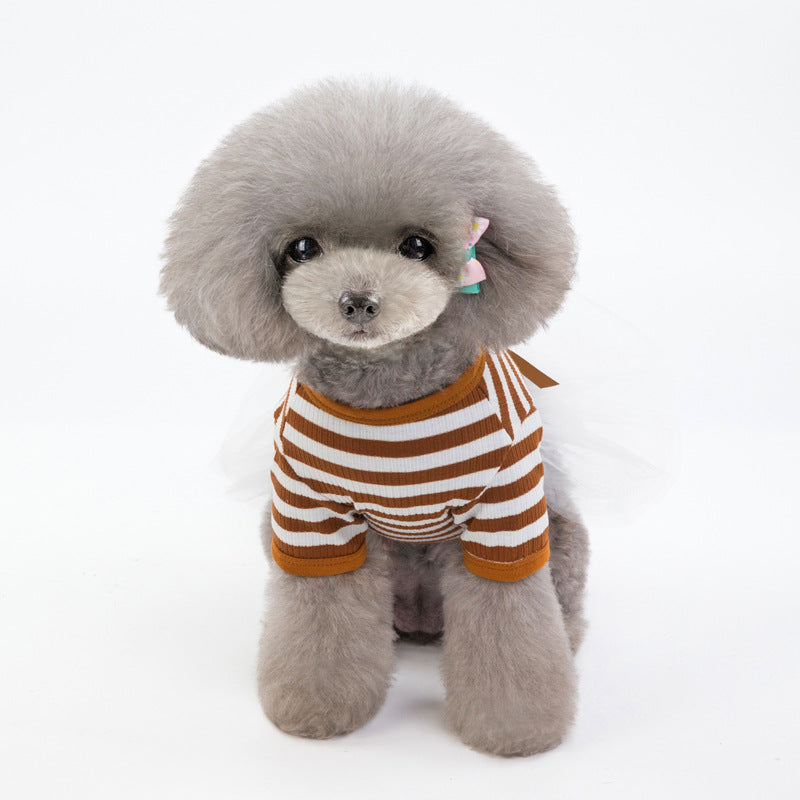 Bears Teddy Small Dog Pet Clothes - Majestic Pet Kingdom