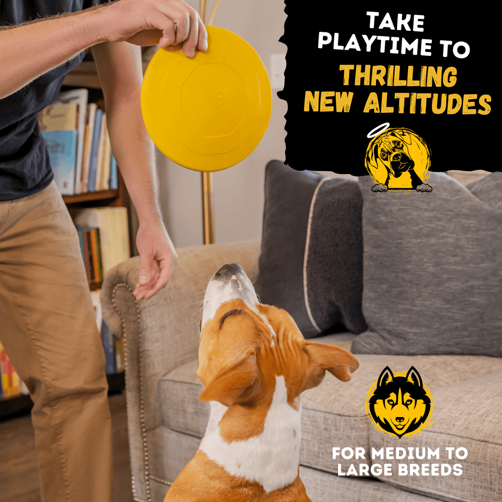 Luxury Pet Essentials - Purrfect Pet Kingdom™