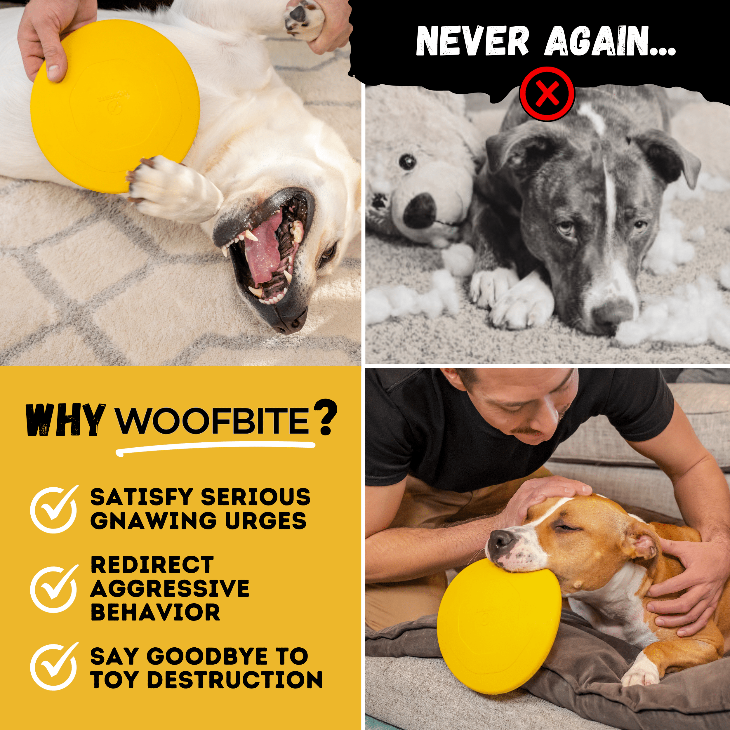 Luxury Pet Essentials - Purrfect Pet Kingdom™