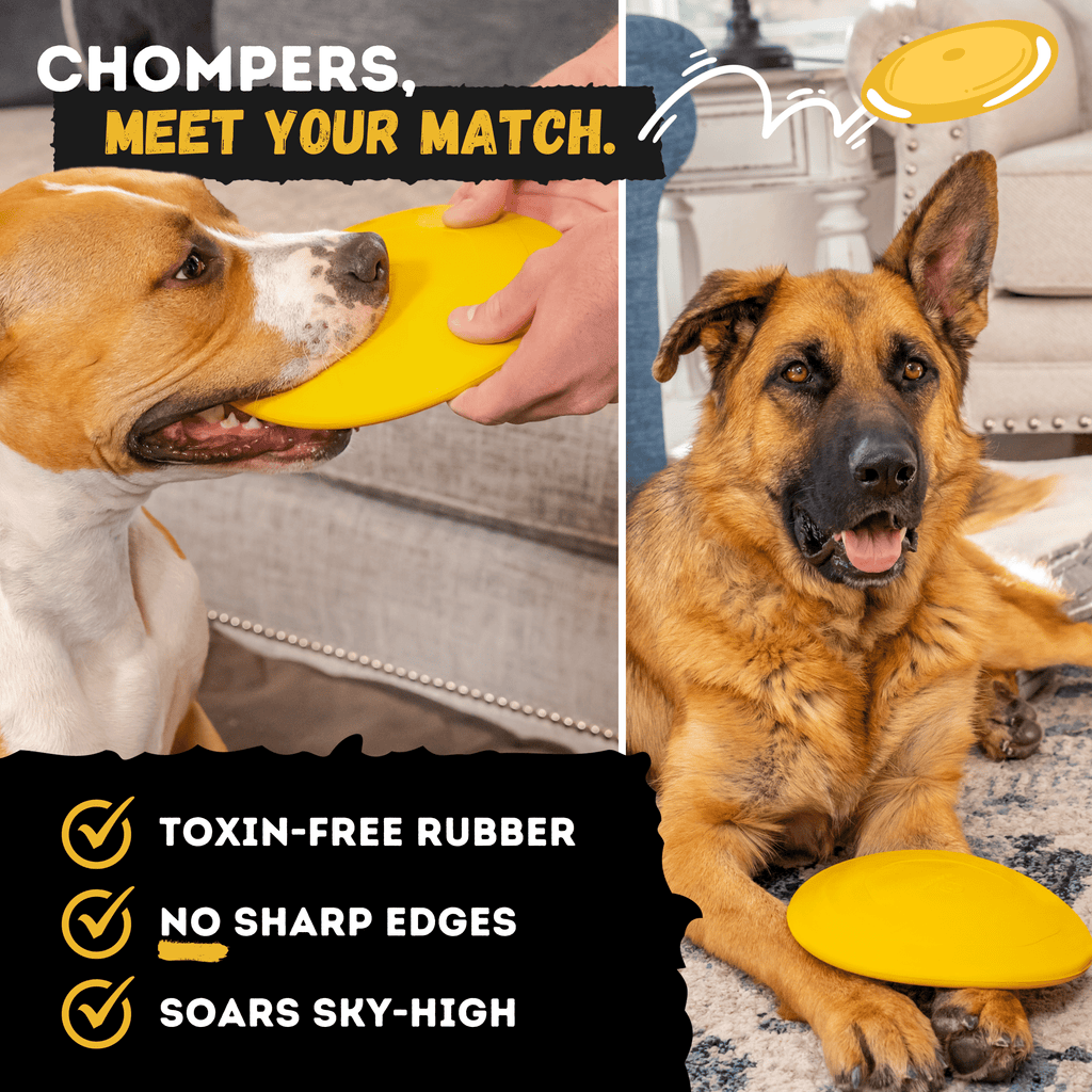 Luxury Pet Essentials - Purrfect Pet Kingdom™