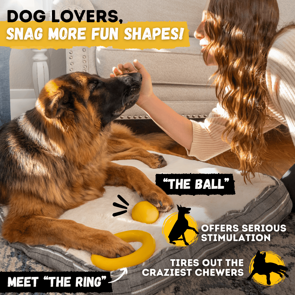 Luxury Pet Essentials - Purrfect Pet Kingdom™