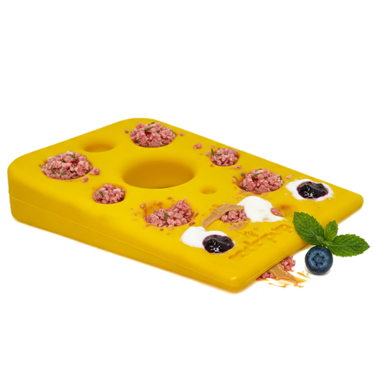 Swiss Cheese Wedge Nylon Dog Chew Toy for Aggressive Best