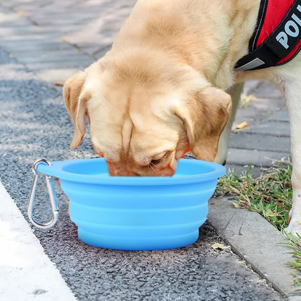 Outdoor Dog Folding Bowl Silicone Pet Bowl Drinking And Eating Dual-purpose Bowl Portable Dog Basin - Majestic Pet Kingdom