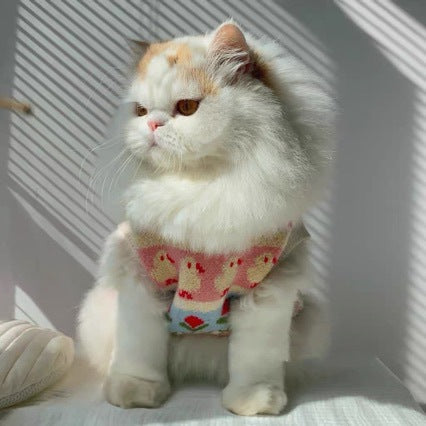 Universal Cute Warm Sweater For Pets
