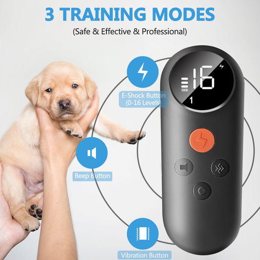 Dog Training Collar Color Screen Remote Anti-Bark Shock Device