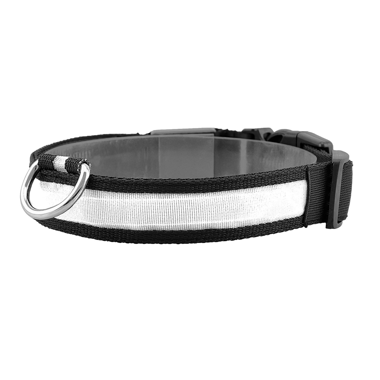 GBruno LED Dog Collar USB | Purrfect Pet Kingdom