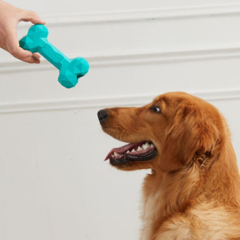 Pet Dog Teeth Grinding Bite Resistant Rubber Bone Toy - Majestic Pet Kingdom
