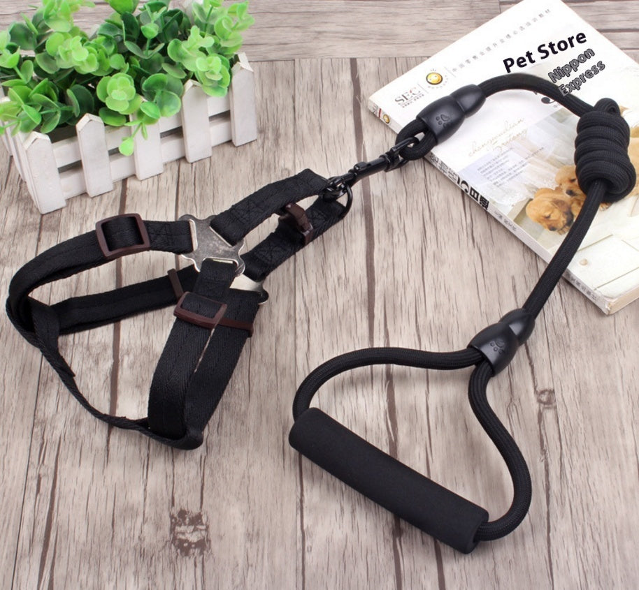 Dog Collar and Leash Set Heavy Duty Stainless Steel Metal Chain - Detail Angle 3 | Majestic Pet Kingdom