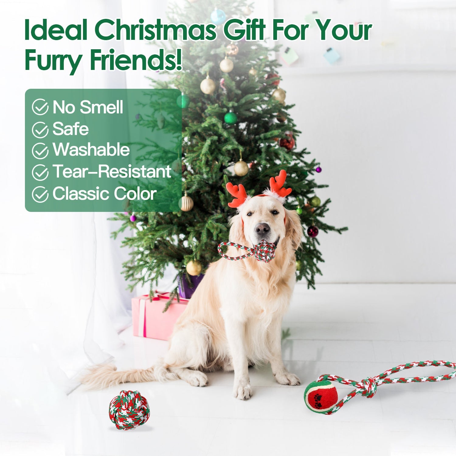 5Pcs Christmas Dog Rope Chew Toys Dog Interactive Toys Set for Puppy Small Medium Aggressive Chewers Dogs Training Teething Playing | Purrfect Pet Kingdom