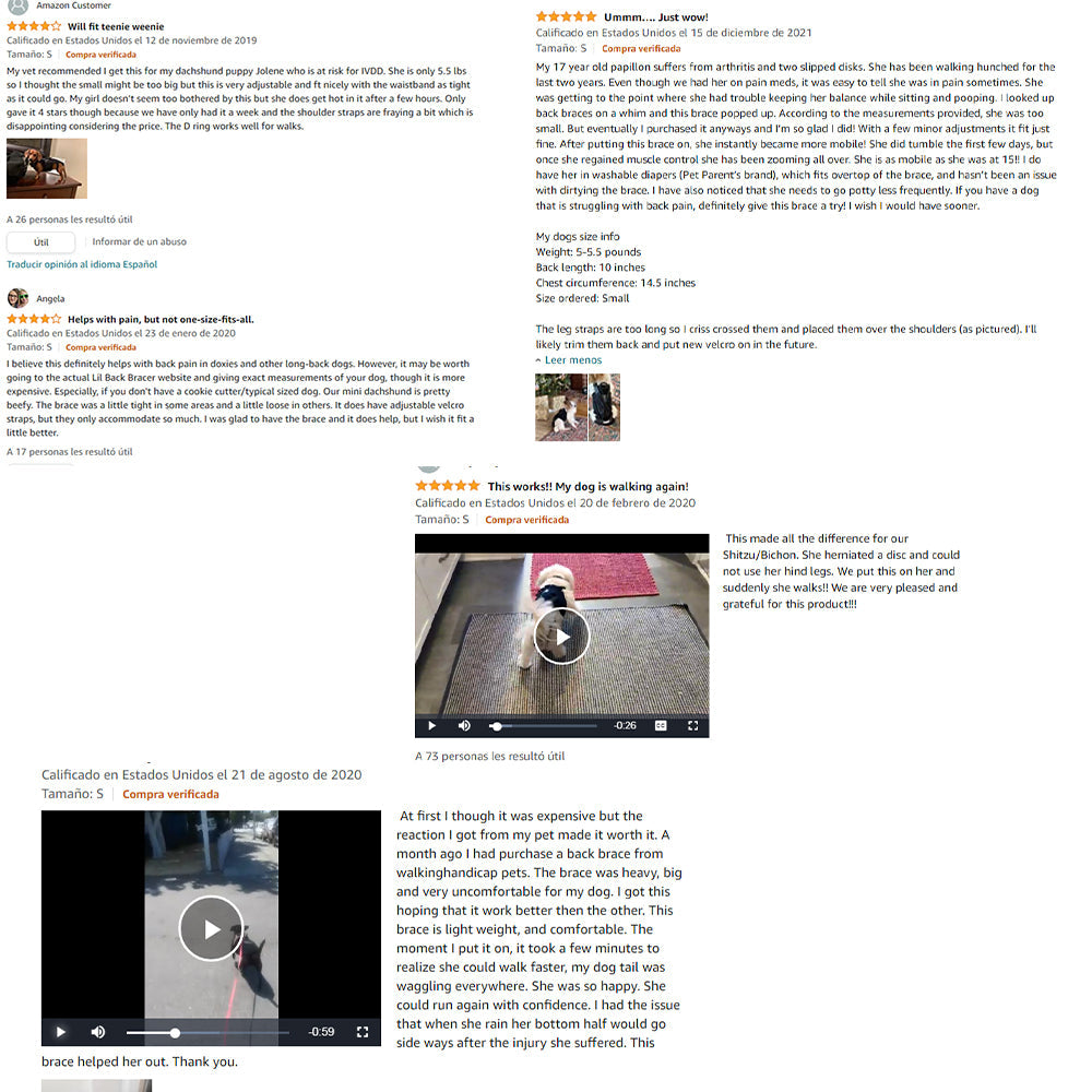 Luxury Pet Essentials - Purrfect Pet Kingdom™