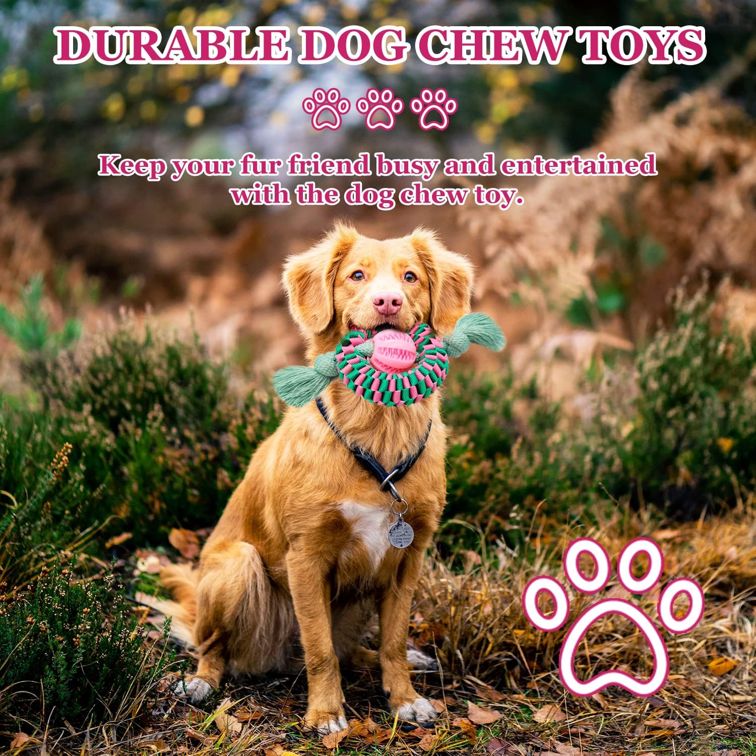 Superior Dog Chew Toy For Interaction, Made Of Durable Nylon And Natural Rubber Perfect For Teeth Cleaning, Exercise  And Stress Relief   Animal Lover's Essential Gift