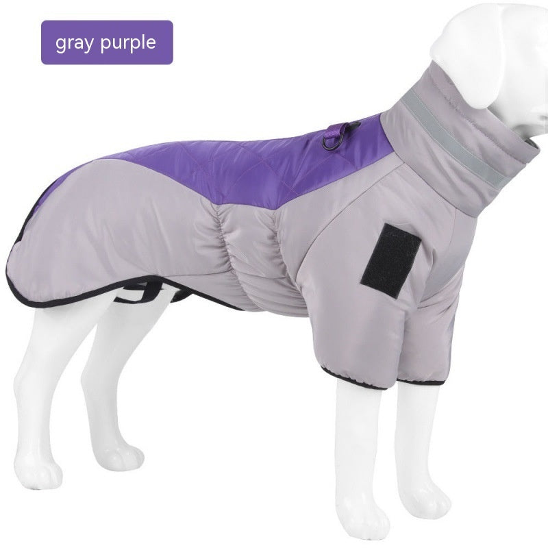 Pet Product - Premium Pet Accessory