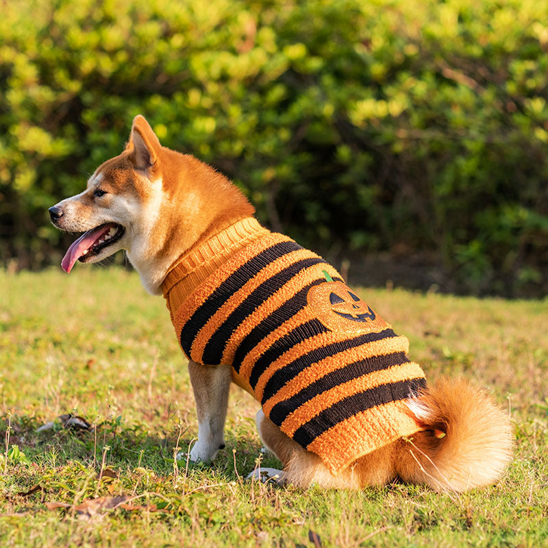 Halloween Dog Sweaters Pet Costume Teddy Warm Leisure Sweater Cosplay Clothes For Dogs Pets Outfits - Majestic Pet Kingdom