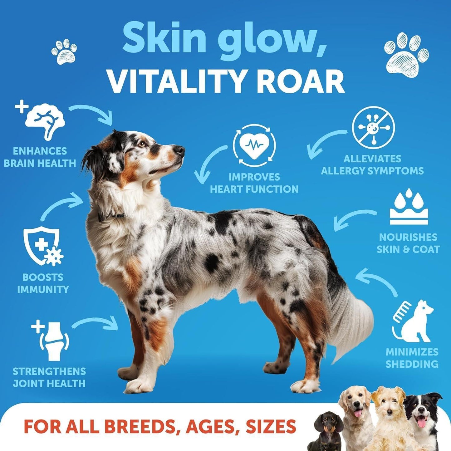 Wild Alaskan Salmon Oil for Dogs - Omega-3 Coat Care 16oz