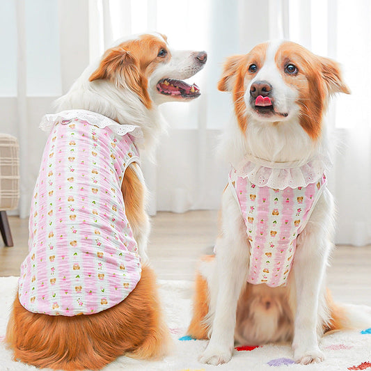 Pet Product - Premium Pet Accessory