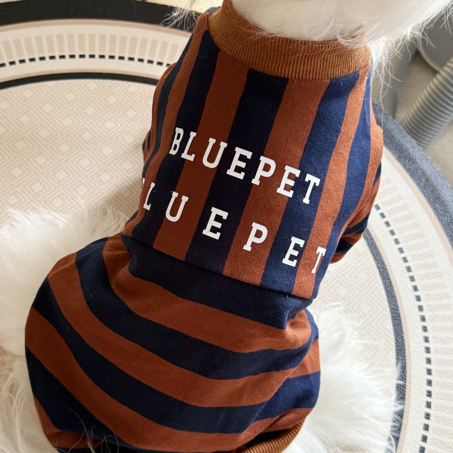 Pet Product - Premium Pet Accessory