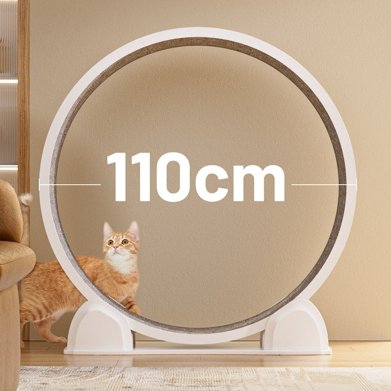 Smart, Displayable ABS Cat Treadmillcats Love To Play | Purrfect Pet Kingdom