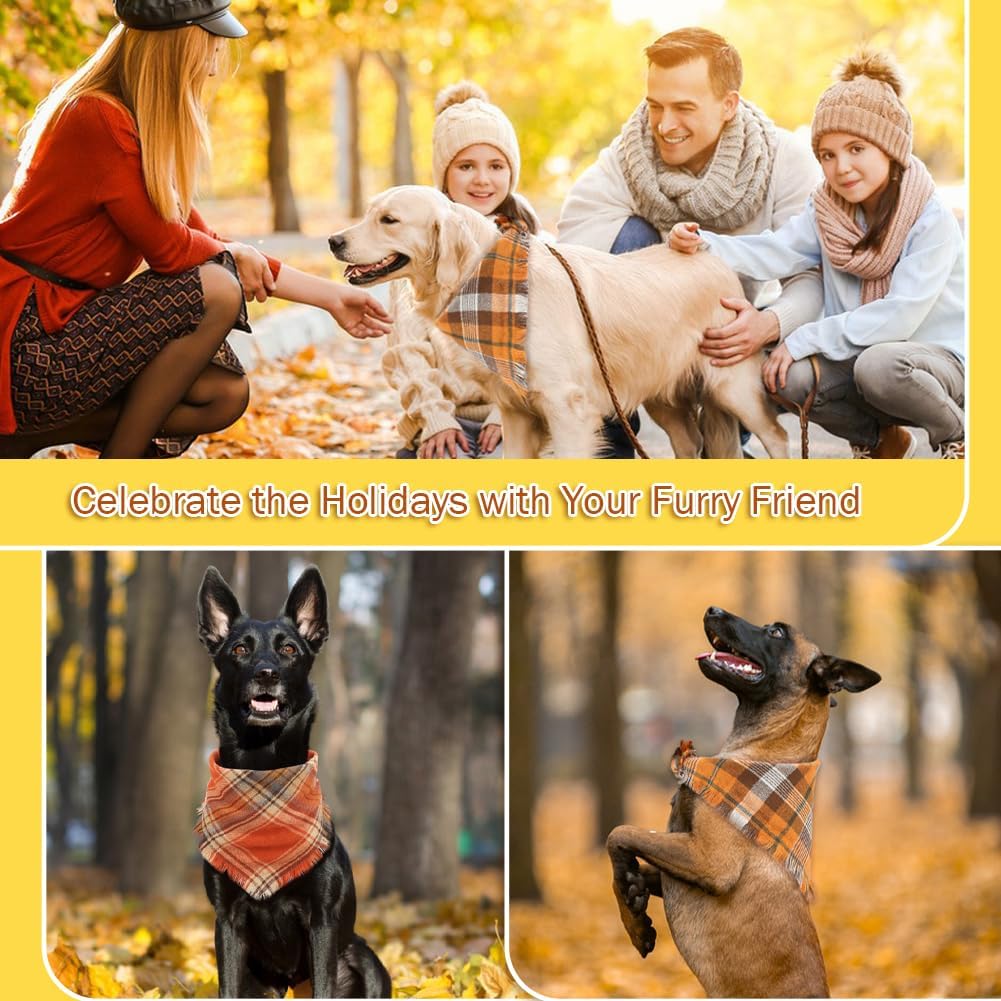 Luxury Pet Essentials - Purrfect Pet Kingdom™