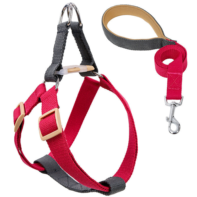 Dog Harness and Leash Set Vest Style Step-In Walking Strap