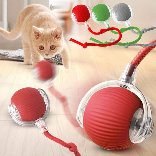 Cat Interactive Ball Toys Automatic Rolling Ball For Kitten Rechargeable Smart Pet Electric Toys With Teaser Sensor Cat Ball Toy | Purrfect Pet Kingdom