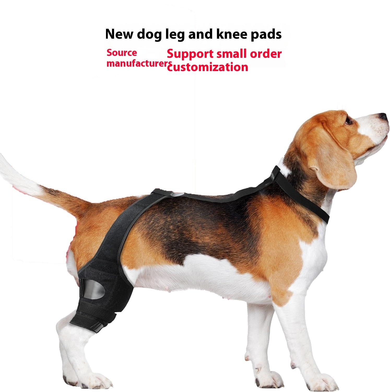 Dog Hind Leg Knee Brace Assist Strap