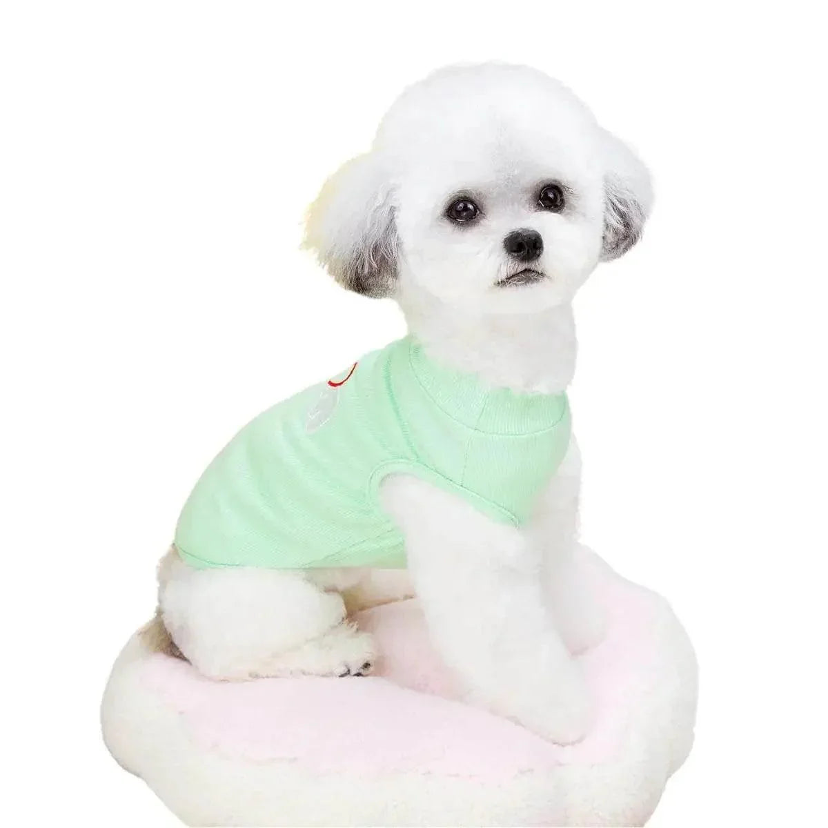 Summer Dog Shirt T Shirt For Small Medium Pet - Dog Shirts