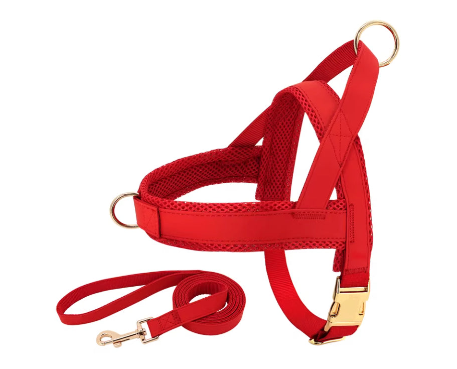 Dog Harness Large Breed Custom Name Patch No-Pull Walking Vest - Detail Angle 6 | Majestic Pet Kingdom