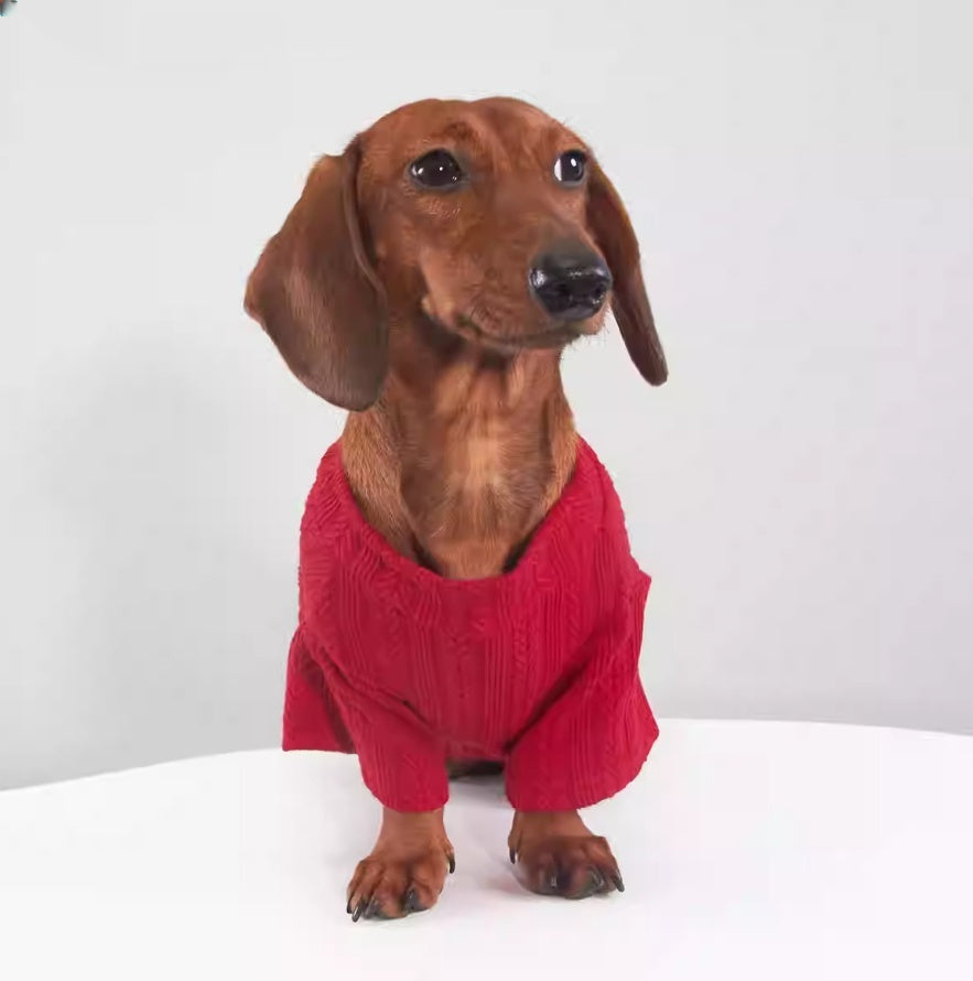 Pet Product - Premium Pet Accessory