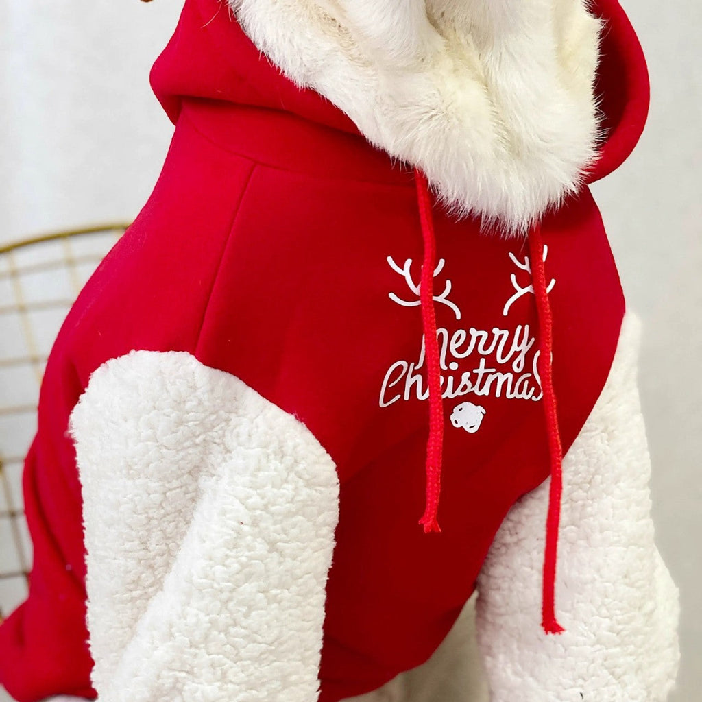 Pet Product - Premium Pet Accessory