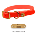 Adjustable Waterproof Dog Collar - Orange Pet Collar